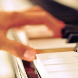 欧洲人与动物BBW
